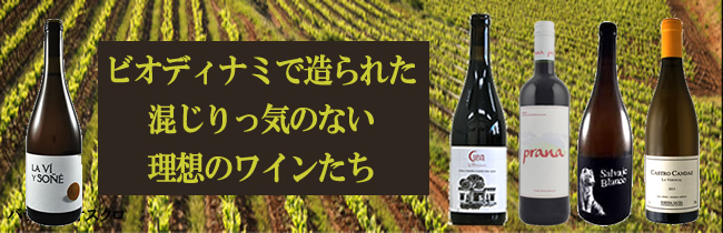 身体に優しい自然派ワイン。畑では無農薬、除草剤を使わず、野生酵母で発酵、SO2無添加の有機栽培、オーガニックワイン